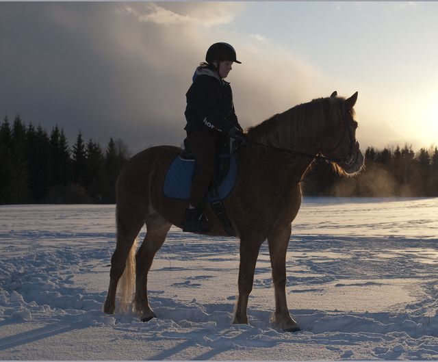 Ratsastaja hevosen selässä talvisessa auringonlaskussa